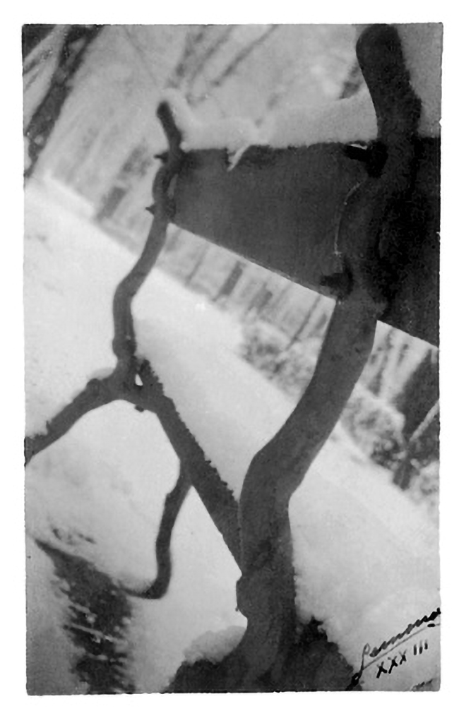 s/t 1933. Fotografía 12´8x7´9 cm *