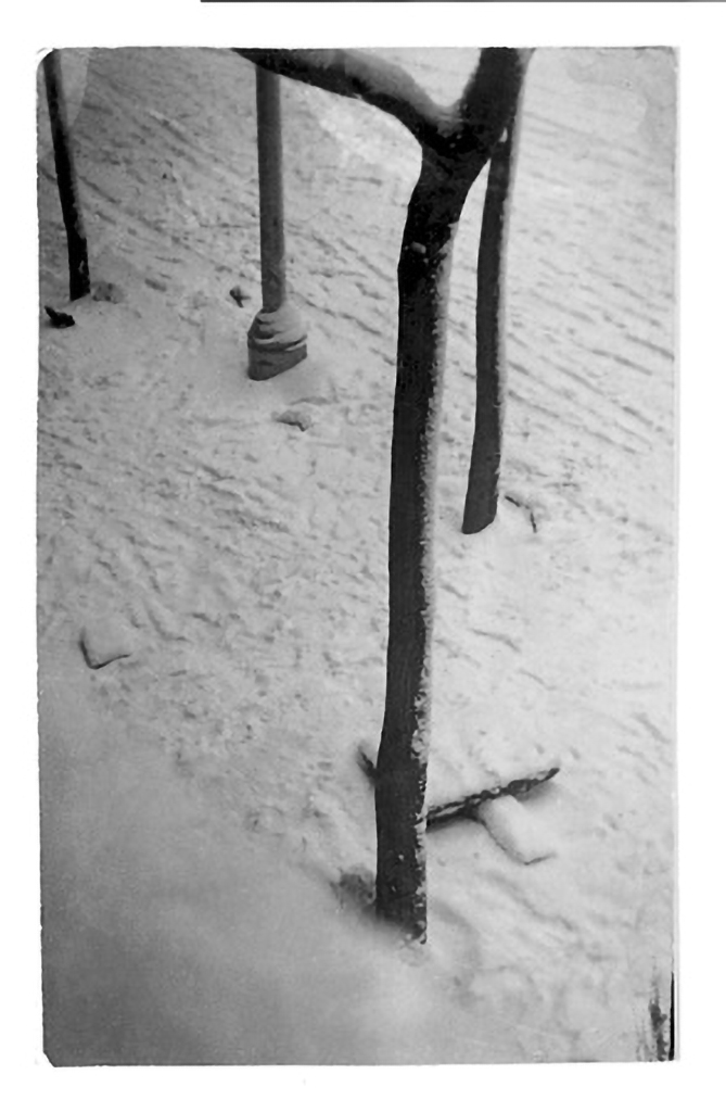 s/t 1933. Fotografía 12´5x7´9 cm