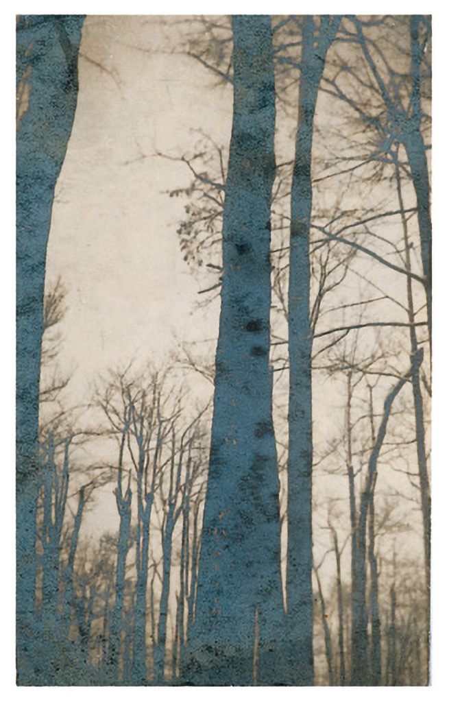 s/t hacia 1925. Fotografía 12´5x7´7 cm *